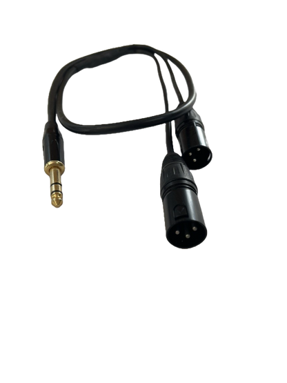 CABLE PLUG 6.3 A XLR 2 MACHOS DE 1 METRO LIFE PBK 2CCIN-1