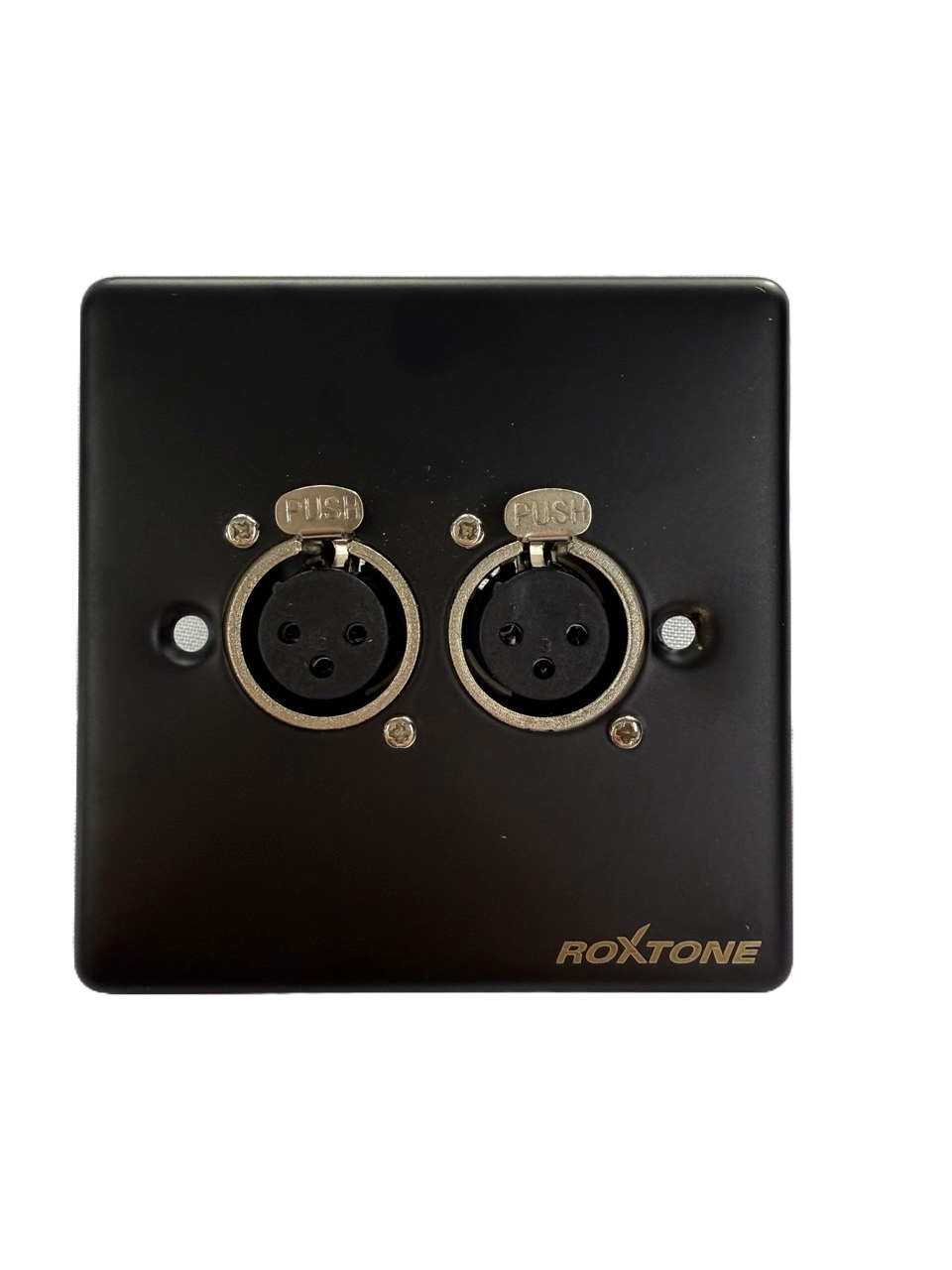 PLACA DE PARED C/2 JACK CANON (XLR) ROXTONE RWPS006-BK