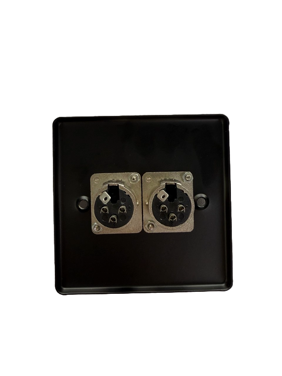 PLACA DE PARED C/2 JACK CANON (XLR) ROXTONE RWPS006-BK