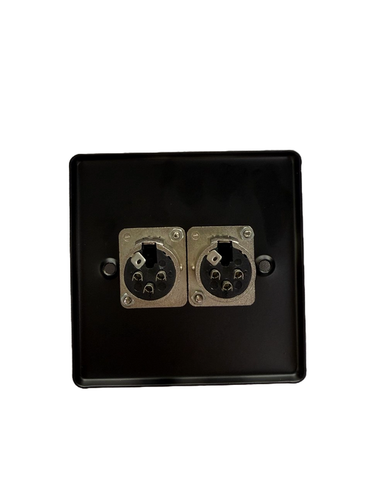 PLACA DE PARED C/2 JACK CANON (XLR) ROXTONE RWPS006-BK