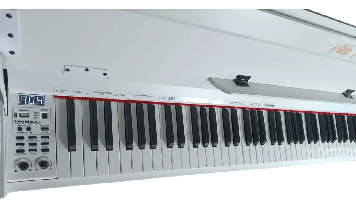 PIANO DIGITAL DE 88 TECLAS DE ACCION DE MARTILLO PROGRESIVO,USB,MIDI ALDE AUDIO TK88HPRO