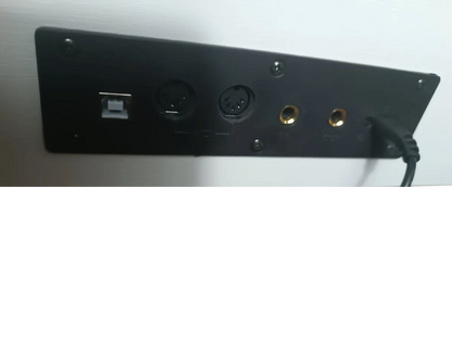 PIANO DIGITAL DE 88 TECLAS DE ACCION DE MARTILLO PROGRESIVO,USB,MIDI ALDE AUDIO TK88HPRO